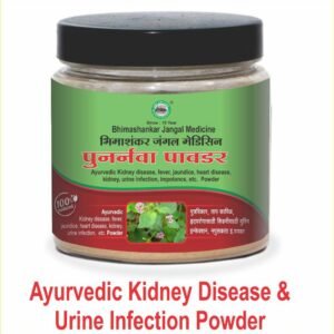 Ayurvedic Kidney Diseases & Urine Infection Powder