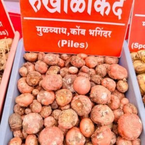Rukhala kand piles roots 1 nos,