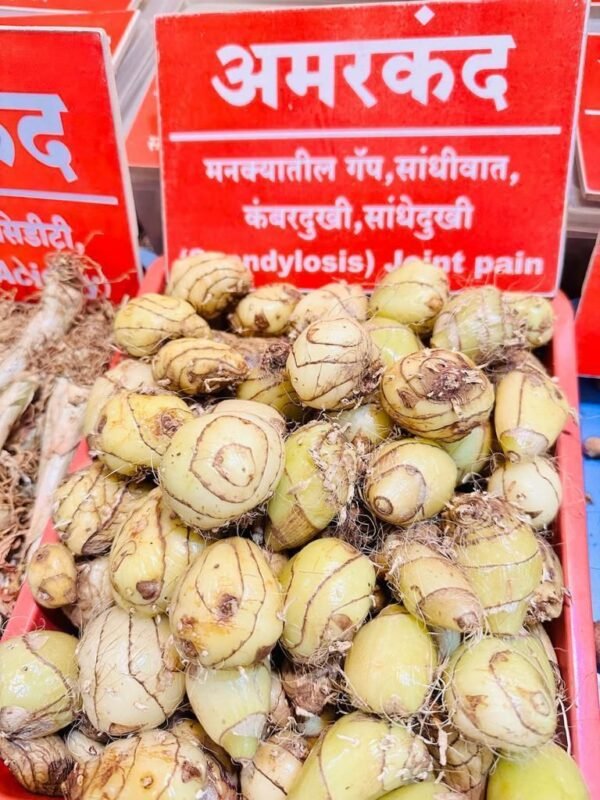Amarkand Root (1 Kg)